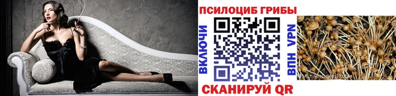 Псилоцибиновые грибы GOLDEN TEACHER  Инта 